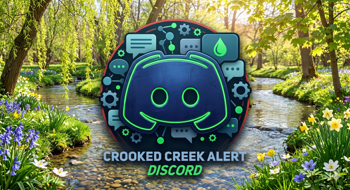 CCA Discord server user guide